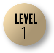 lvl1
